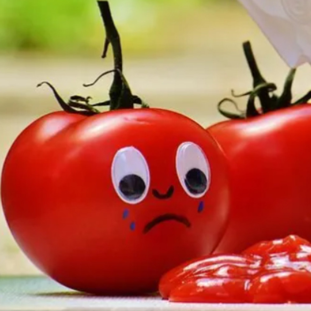 Follow the Tomato
